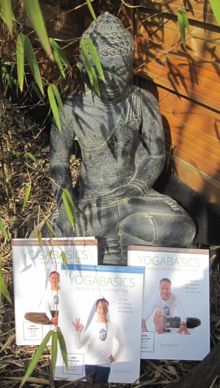 Yogabasics DVDs