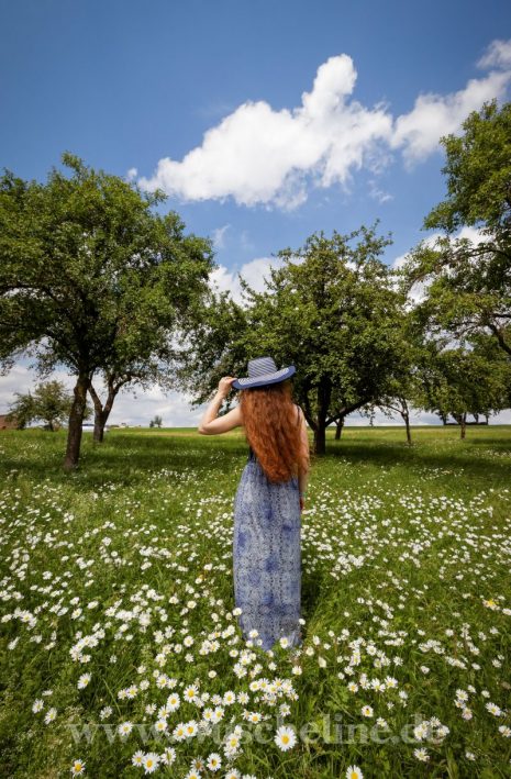 Sommerhaar Hut offen 3