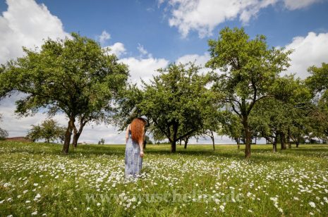 Sommerhaar Hut offen 5